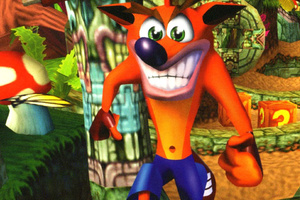 Crash Bandicoot Important Things to Consider When Choosing a Game